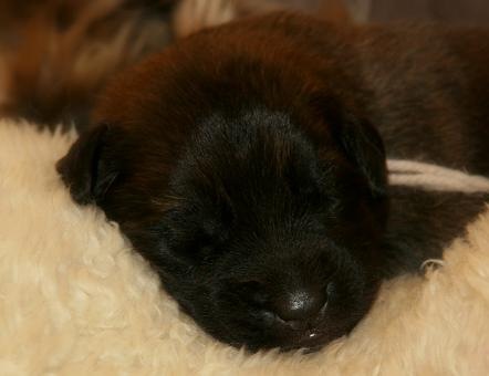 [Birdys babies 2010 008-3[3].jpg]