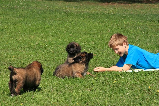 [Birdys babies 2010 214-2[3].jpg]