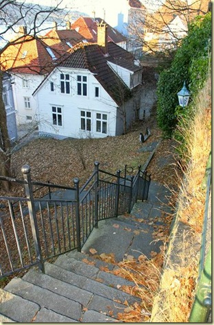 Bergen2010 009-2