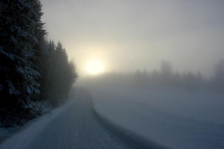 [roadhome[4].jpg]