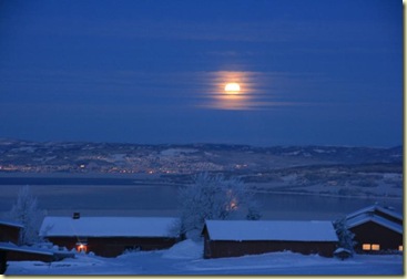 moonshine