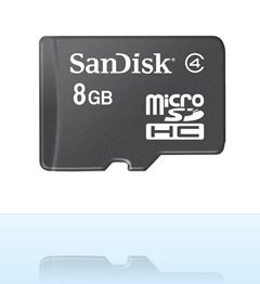 microSDHC8GB_big