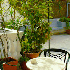 Jardín Hostal Agua Alegre