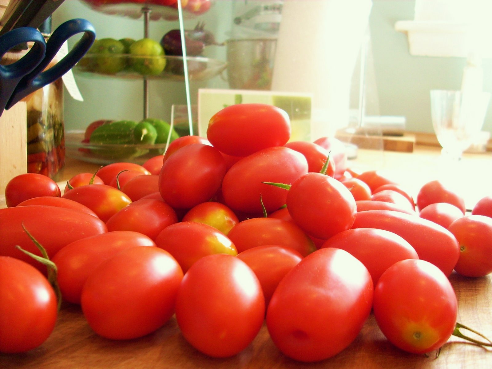 [garden0012.jpg]