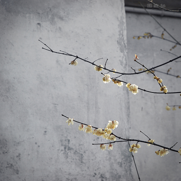 拙政园©JunChen Photos