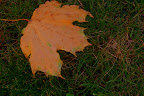 IMGP5282-1.JPG