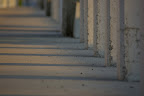 IMGP4881.JPG