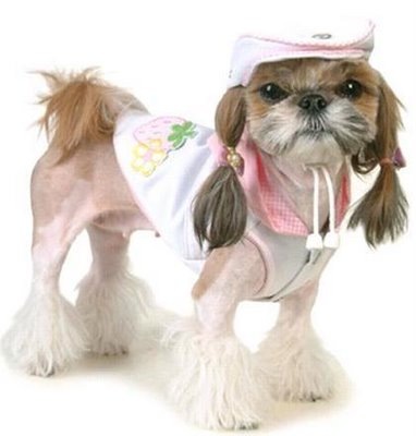 [dogfashion22.jpg]
