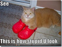 cat 6