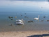 ABITANTI DEL LAGO