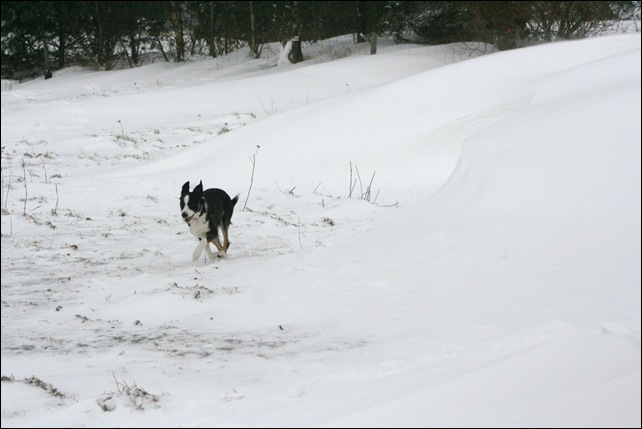 snow7