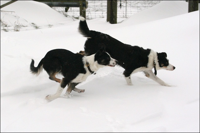 snow38