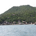 Picture%20009