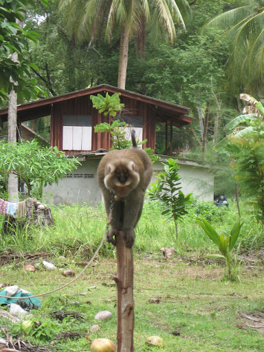 Picture%20015