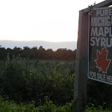 DSCN3995.JPG