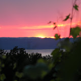 DSCN4021.JPG