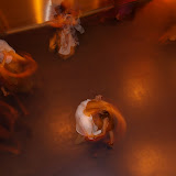 IMGP0121.JPG
