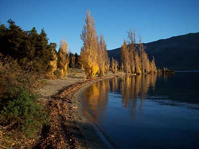 clutha-flood-3.jpg