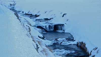 snow-farm-4.jpg