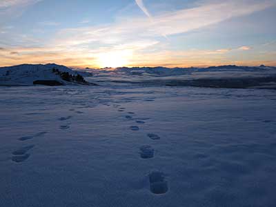 snow-farm-sunset-1.jpg