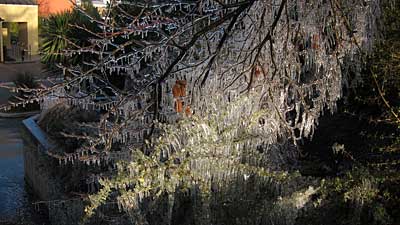 wanaka-library-ice-2.jpg