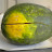 DSCN1153.JPG