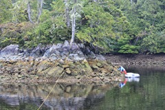 IMG_5111 IMG_5111