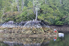 IMG_5112 IMG_5112
