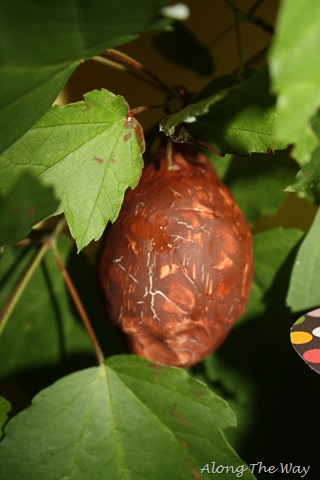 [IMG_21642.jpg]