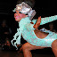 DSC_0480.jpg