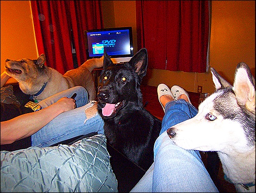 Picture 59662