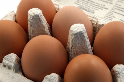 [half-dozen-eggs[3].jpg]