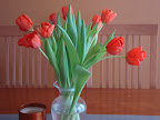 DSC01864.JPG