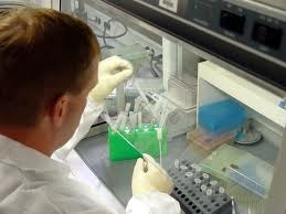[researcher 6[2].jpg]