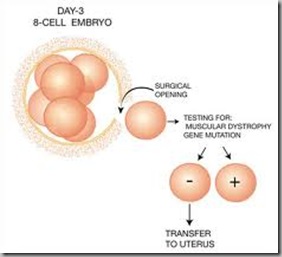 PGD-1 PGD-1