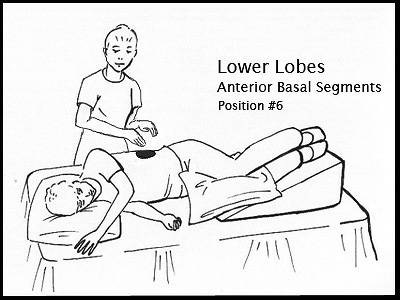 [PD-Lower_LobesAnterior[3].jpg]