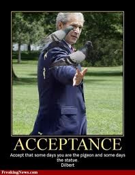 [acceptance-pigeon[3].jpg]