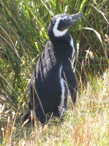 [IMG_0349640x4804.jpg]