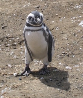 [IMG_1368640x4803.jpg]