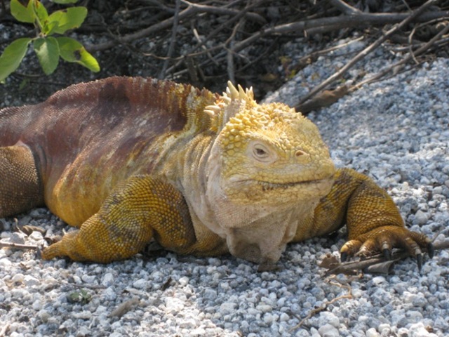 [IMG_0909800x600.jpg]