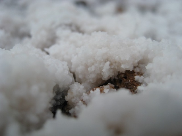 [IMG_1984800x6002.jpg]