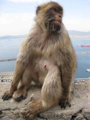[IMG_0240640x4803.jpg]