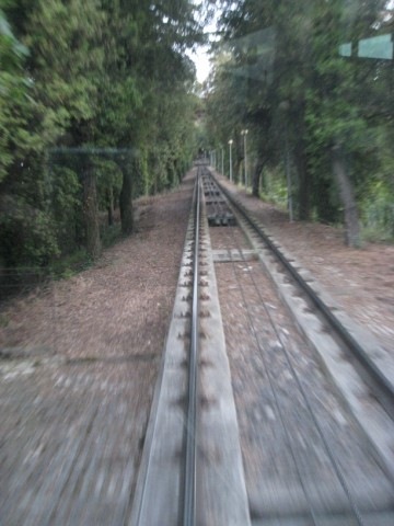 [IMG_1286640x4802.jpg]