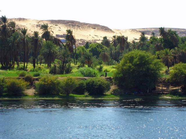 [IMG_7541640x4804.jpg]