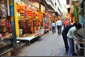 DSC_6431 DSC_6431