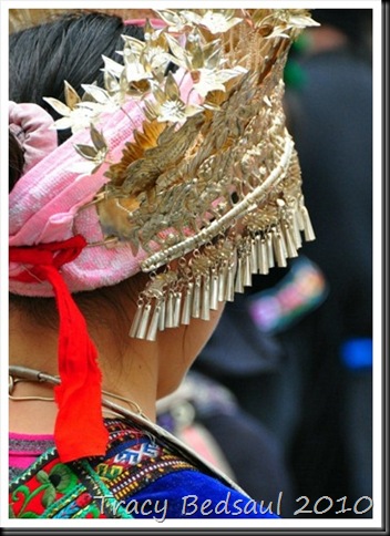 DSC_3481_thumb2 DSC_3481_thumb2