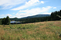 IMG_4202.JPG Photo
