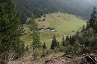 IMG_0622.JPG