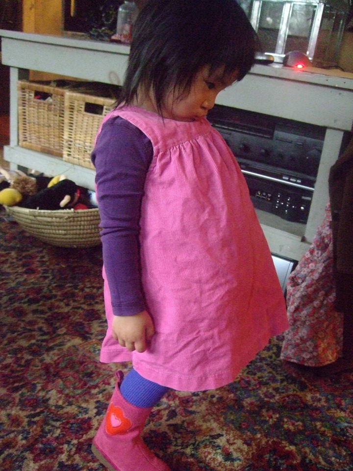 [120308pinkpinafore12.jpg]