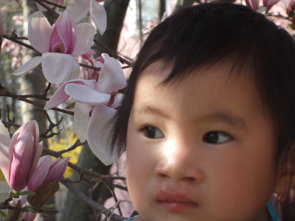 [April 19 Bell and Magnolias[2].jpg]